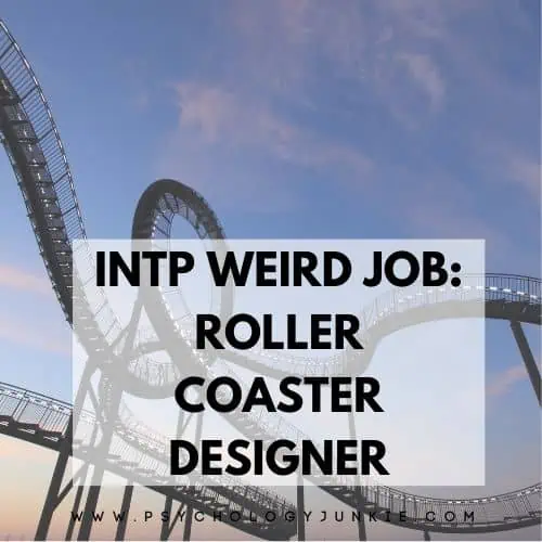INTP weird job is roller coaster designer