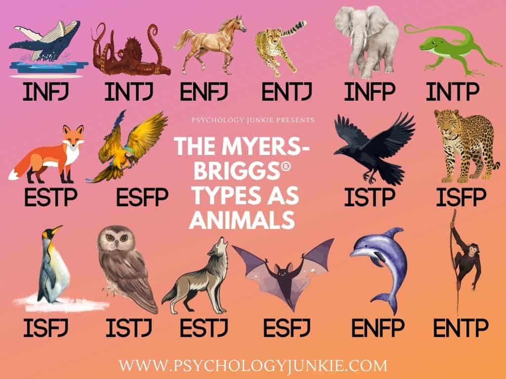 The 16 personality types (MBTI) as animals infographic.