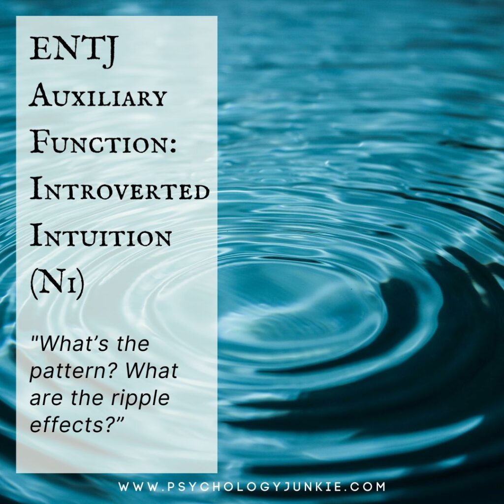 The ENTJ Cognitive Functions: An In-Depth Guide - Psychology Junkie