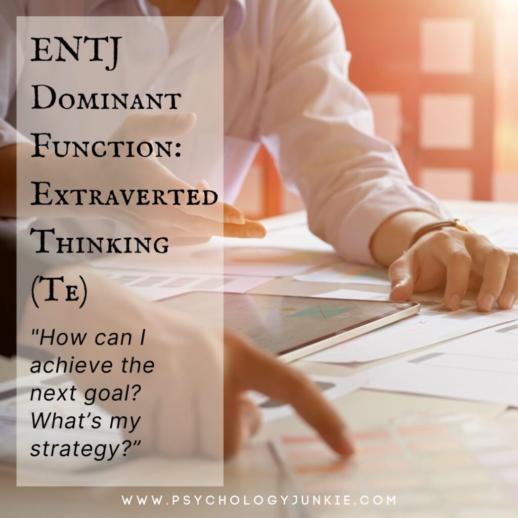 The ENTJ's dominant function is Extraverted Thinking