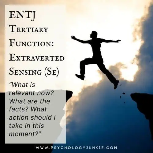 The ENTJ's tertiary function is Extraverted Sensing