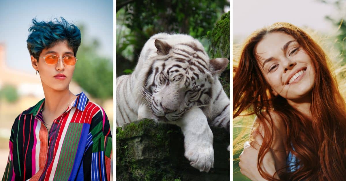 Discover the rarest of the 16 Myers-Briggs (MBTI) types