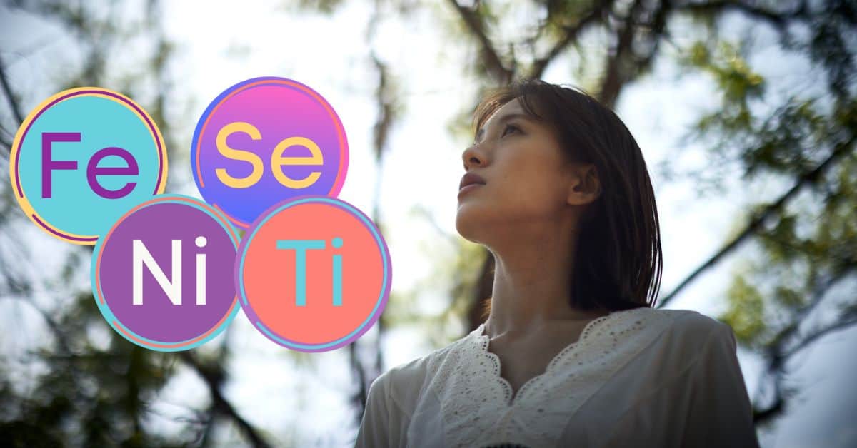 The ENFJ Cognitive Functions: An In-Depth Guide - Psychology Junkie