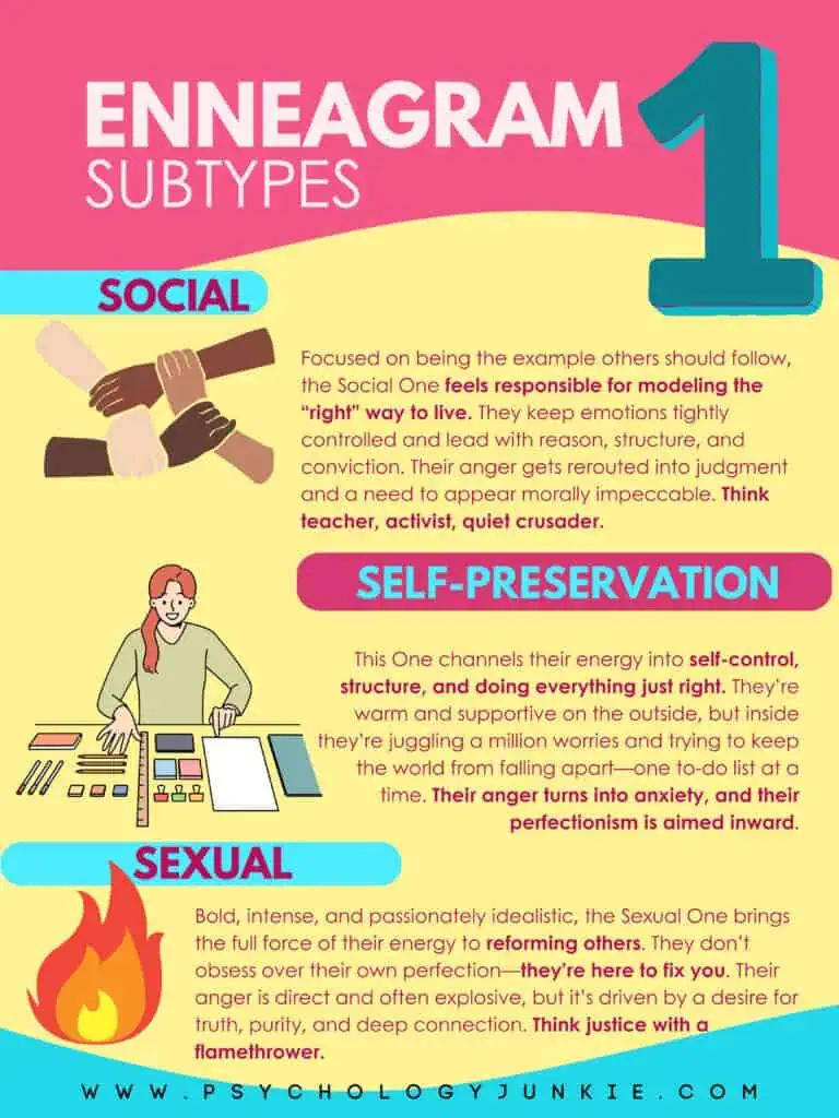 Enneagram 1 Subtypes or Instinctual Variants infographic