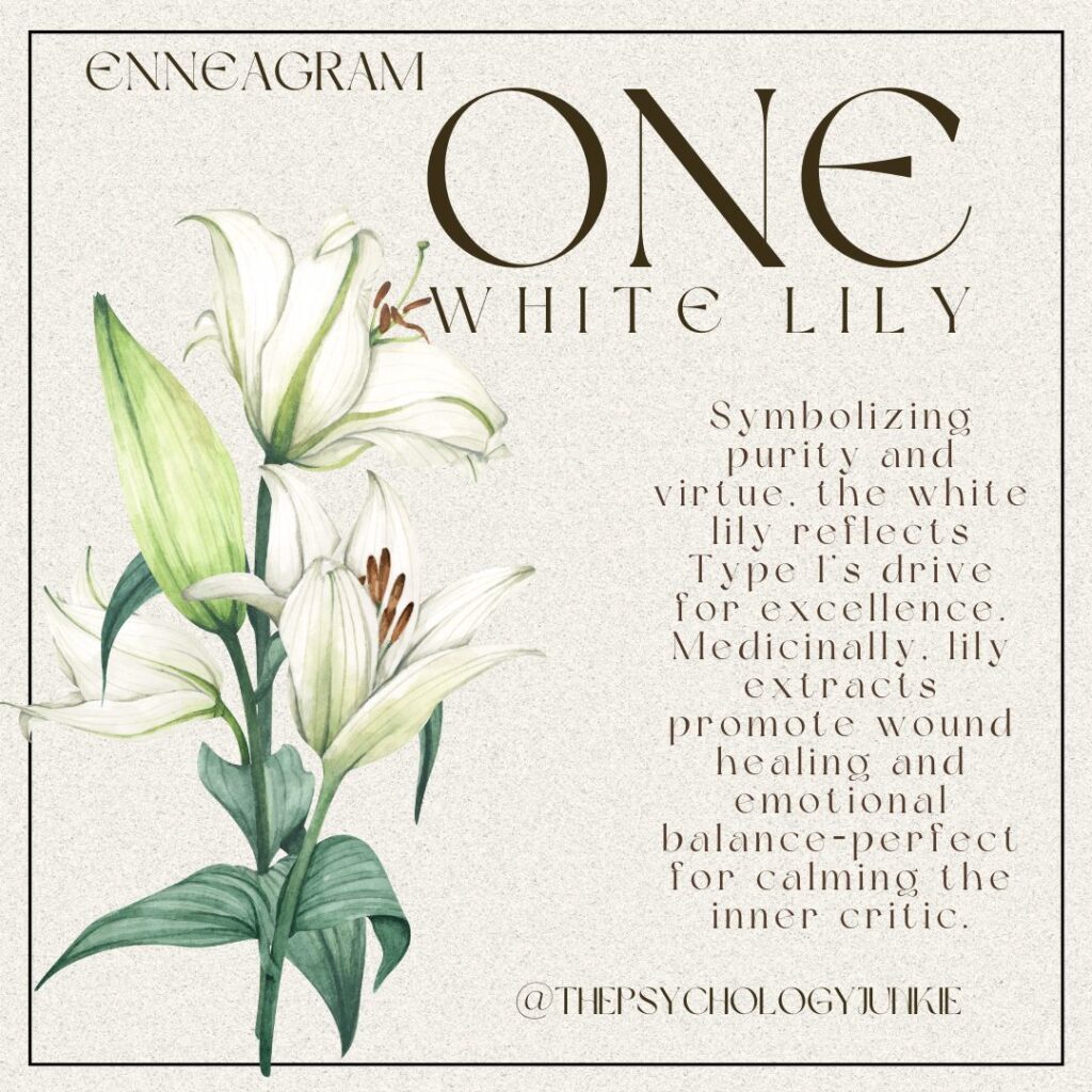 Enneagram 1 is white lily