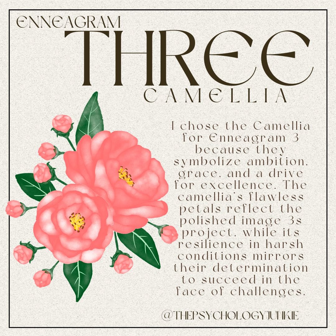 Enneagram 3 camellia