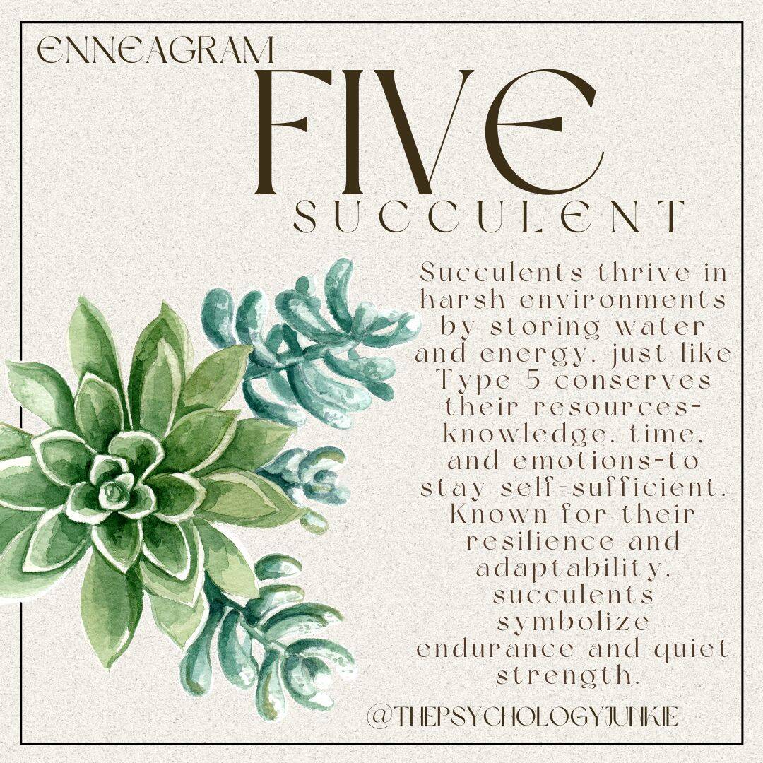 Enneagram 5 succulent