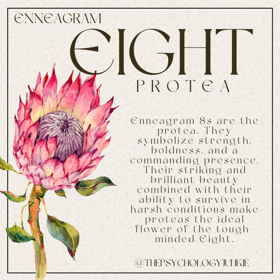 Enneagram eight protea