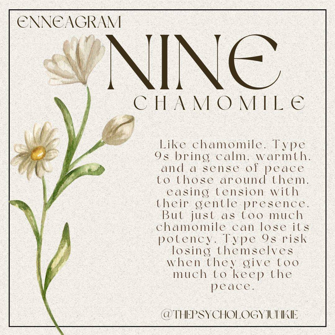 Enneagram 9 chamomile