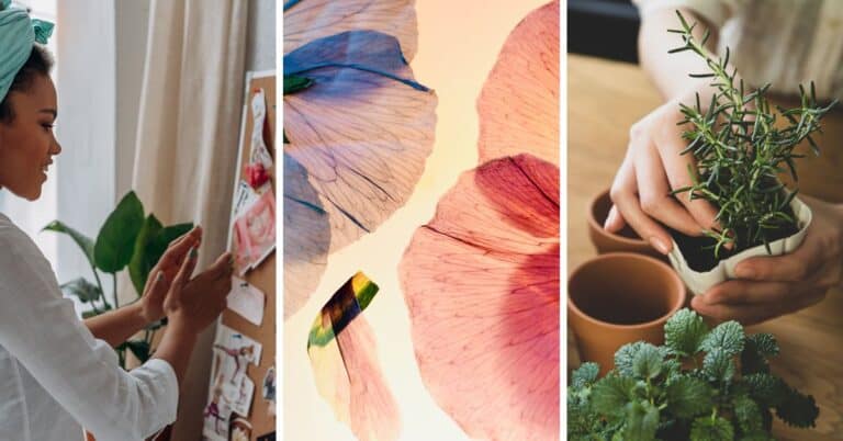 Cozy Activities for each of the 16 Myers-Briggs personality types