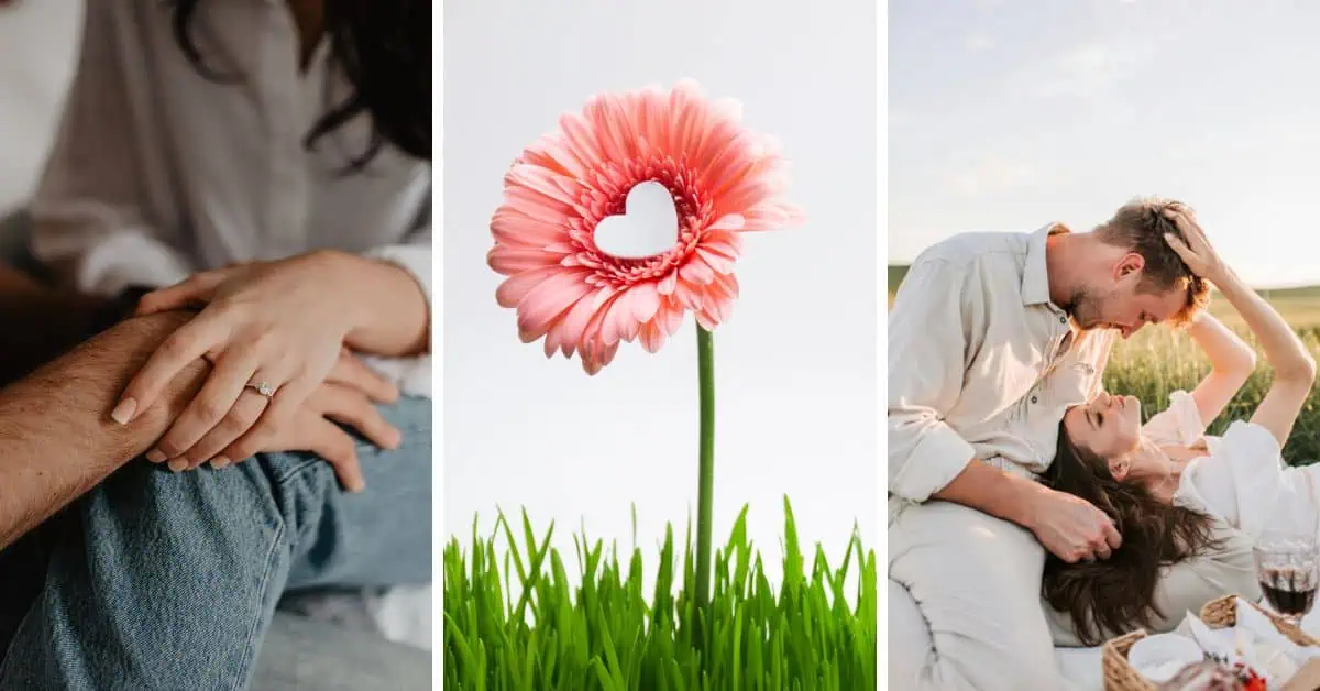 An in-depth article describing the real pros and cons of the INFJ and ISFJ relationship