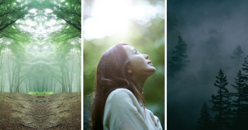 Find out why so many INFJs feel invisible or misunderstood