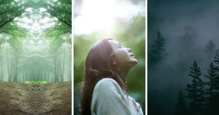 Find out why so many INFJs feel invisible or misunderstood