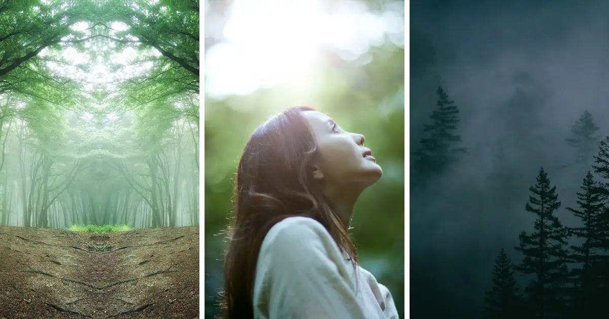 Find out why so many INFJs feel invisible or misunderstood