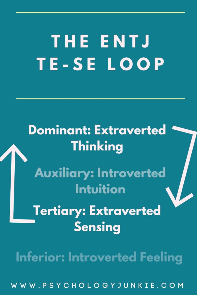 A graphic showing the ENTJ Te-Se loop