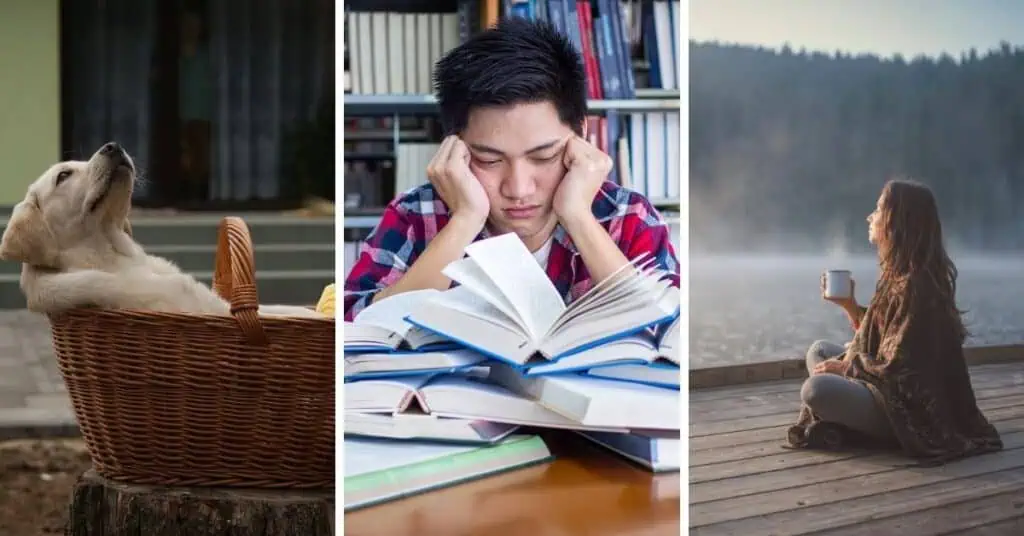 Get a funny but insightful look at how the nine Enneagram types try to relax and inevitably fail.