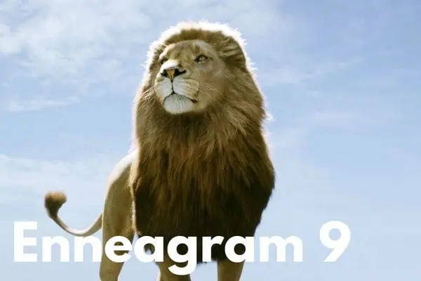 Aslan Enneagram 9
