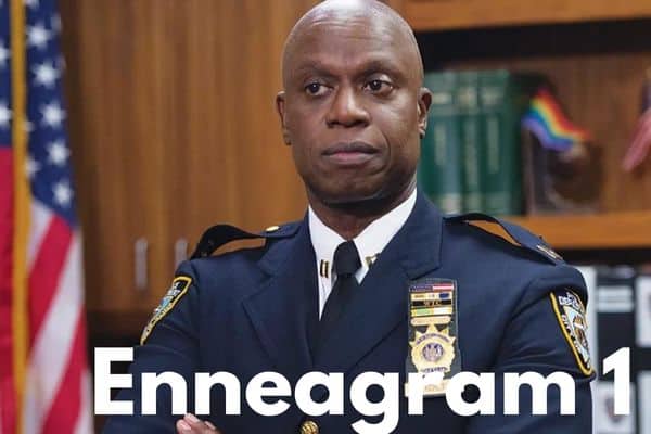 Raymond Holt is an Enneagram 1