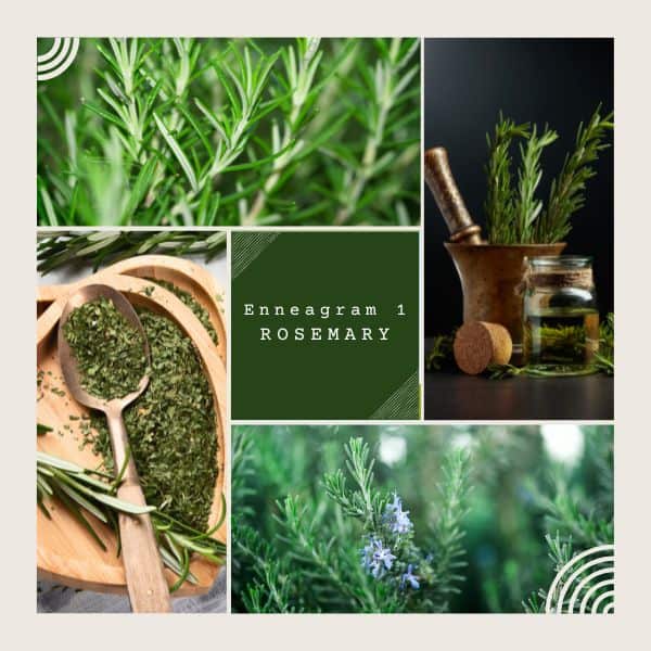 Enneagram 1: Rosemary