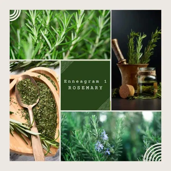 Enneagram 1: Rosemary