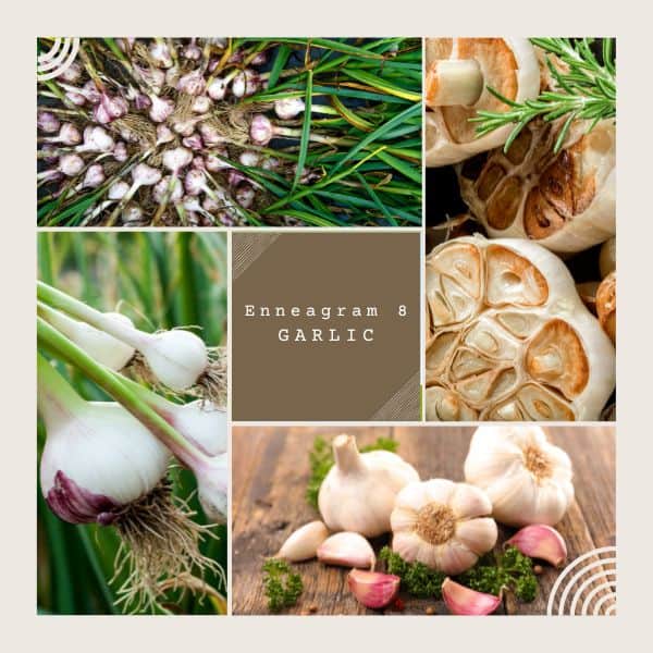 Enneagram 8 is Garlic