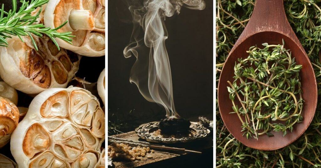 Discover the 9 Enneagram types as herbs