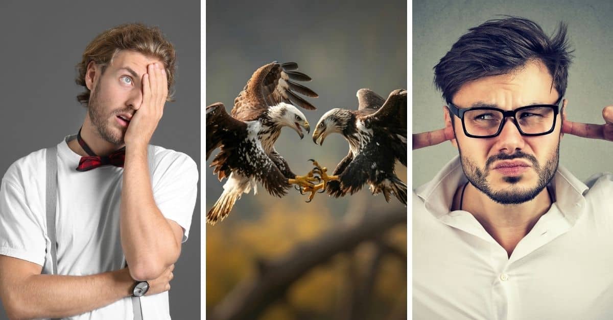 The four personality types that INTPs clash with most (ESTJs, ESFJs, ESFPs, ISFPs)