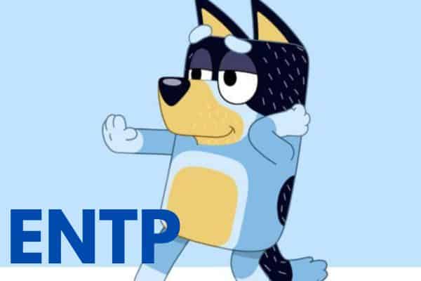 Bandit is an ENTP