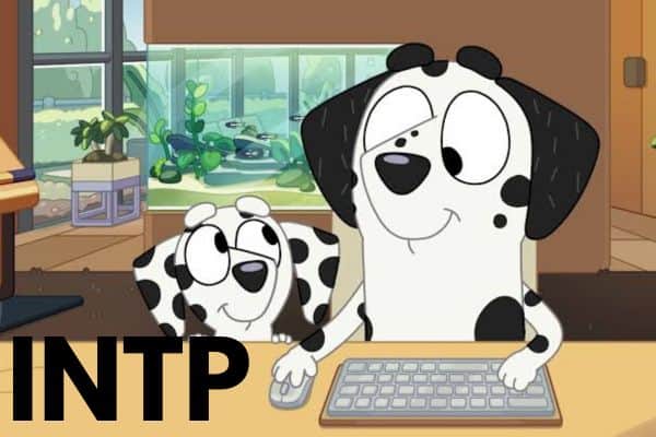 Frank from Bluey is an INTP