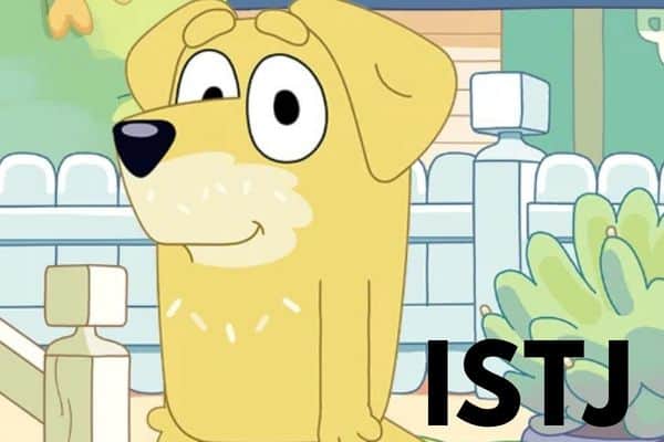Pat from Bluey is an ISTJ