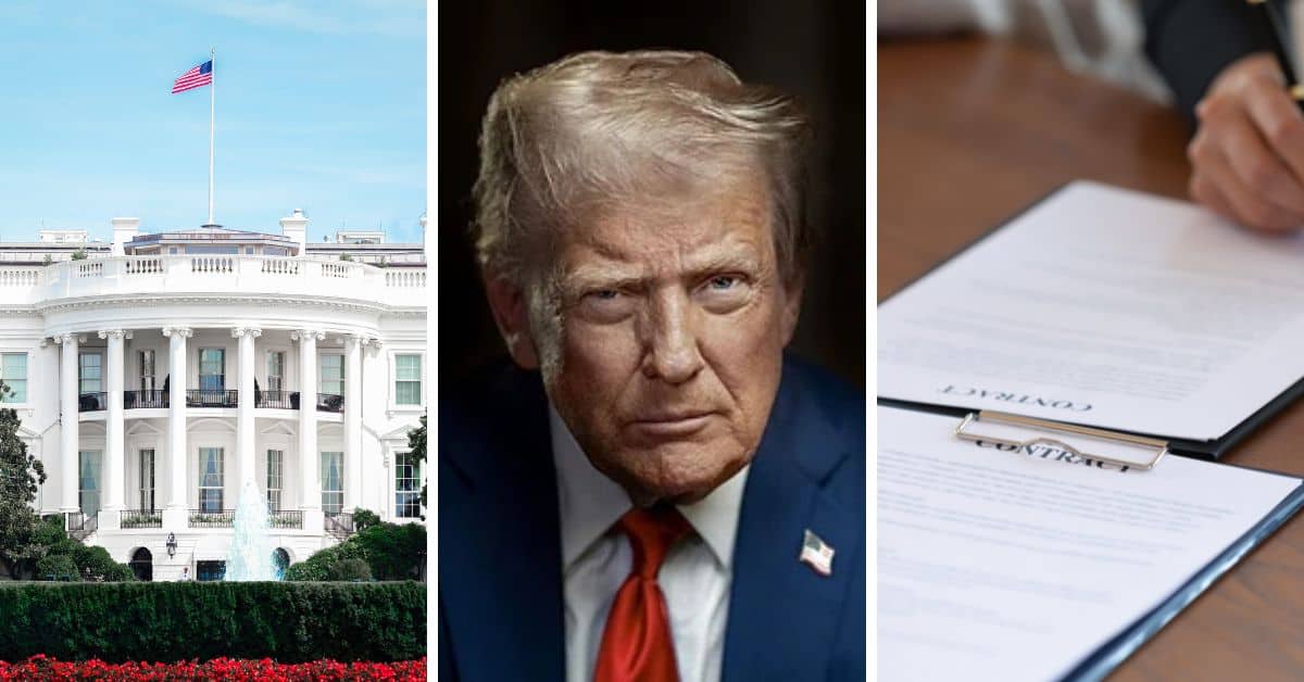 Get an in-depth look at Donald Trump's MBTI type #MBTI