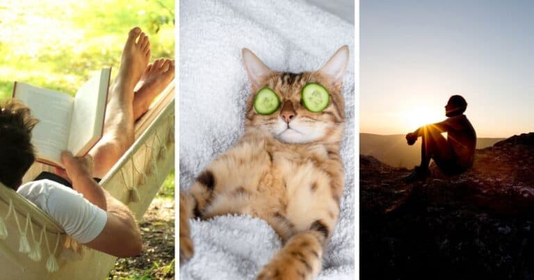 Discover how the 16 Myers-Briggs (MBTI) personality types rest best. #MBTI #Personality
